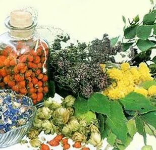 People's remedies against parasites