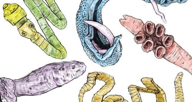 parasite