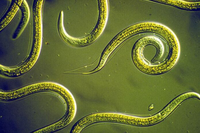 Parasitic cleaning